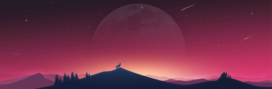 admin123 Cover Image
